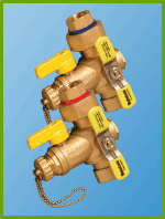 Rheem AP13892 Water Service Valves