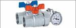 EM9722R206 - Emmeti Straight Progress Valve with Thermostat 1" NPT