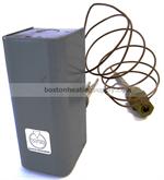 Rheem SP11798B Thermostat