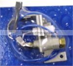 Rheem SP12049B Pilot Ignitor Nat. , Powervent